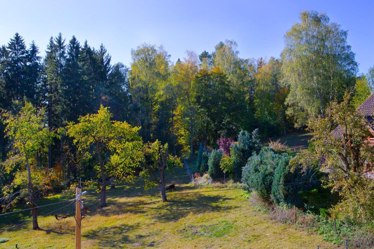 Pension Haus Fuerstenberg Beierfeld エクステリア 写真