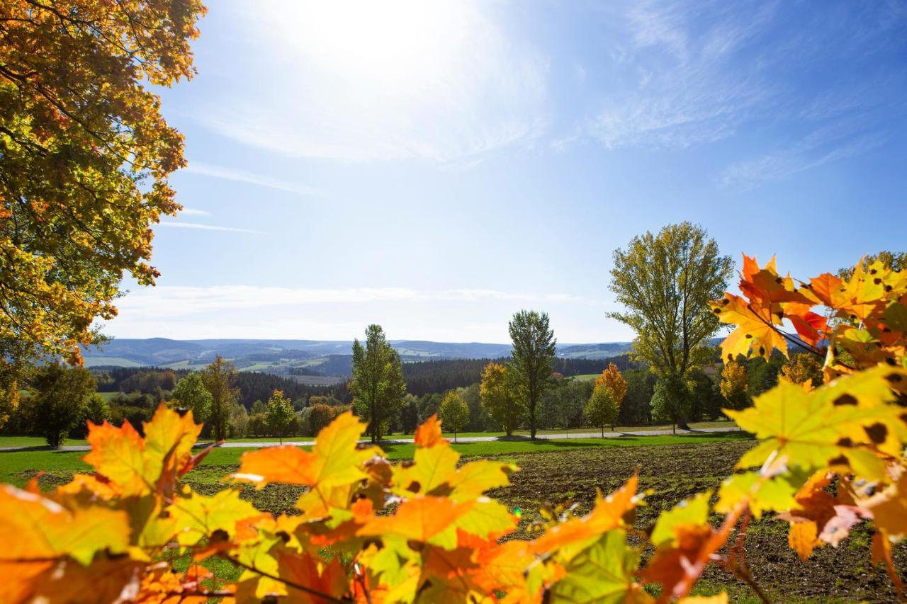 Pension Haus Fuerstenberg Beierfeld エクステリア 写真