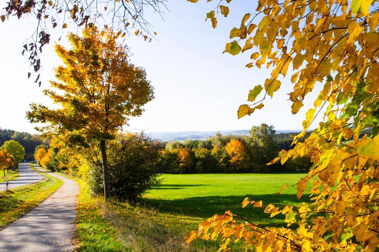 Pension Haus Fuerstenberg Beierfeld エクステリア 写真