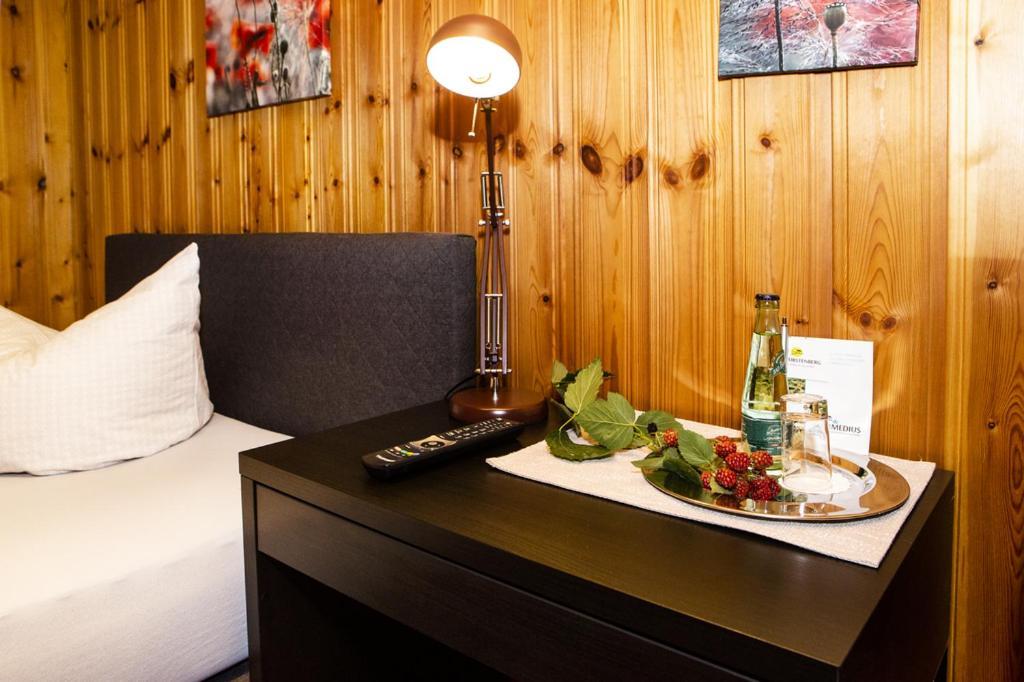 Pension Haus Fuerstenberg Beierfeld エクステリア 写真