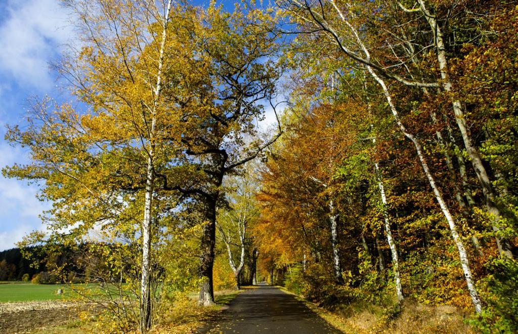 Pension Haus Fuerstenberg Beierfeld エクステリア 写真