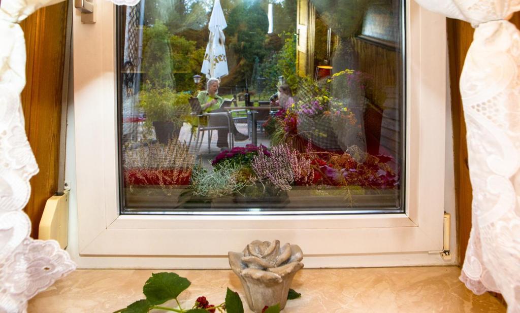 Pension Haus Fuerstenberg Beierfeld エクステリア 写真