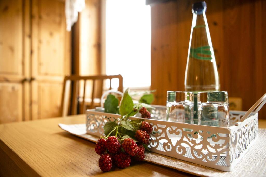 Pension Haus Fuerstenberg Beierfeld エクステリア 写真